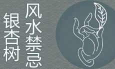 银杏树风水禁忌有哪些