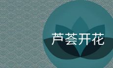 芦荟开花吉凶预兆有哪些说法