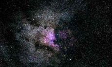 属虎摩羯座2021年运势及运程如何