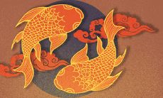 养鱼三不喂是什么意思 养鱼招灾吗