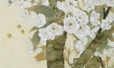 2022年生肖属蛇7月份最佳订婚提亲吉日查询 这些天是好日子