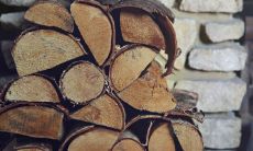 什么颜色旺木命 属木的人忌讳什么颜色