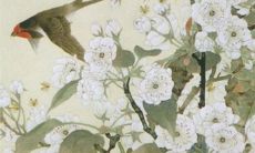 2022年生肖属兔在7月最吉利的婚嫁日期 订婚吉日一览表