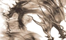 为什么家里不能放龙 家里摆龙有什么风水讲究