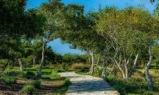 生肖属鼠人2021年4月运势及运程如何 财运与健康解析