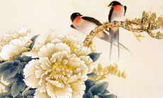 燕子成群有什么风水征兆