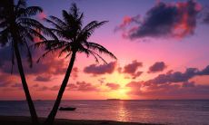 小伤不断什么征兆 转运前必有灾难