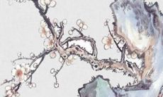 结婚需要婚伞吗 结婚新娘伞是谁撑