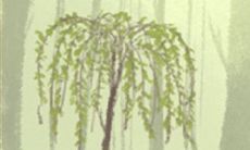 处女座恋人如何改邪归正