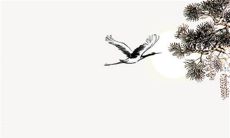 结婚用的衣服能不能洗 礼服能不能放洗衣机洗