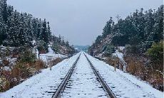 鼠男为什么适合和猴女在一起