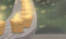 12生肖最佳朋友配对组合