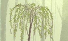 天蝎座恋人如何改邪归正