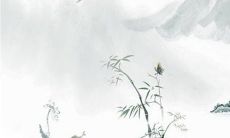 新娘服为什么叫秀禾服 结婚就一套秀禾服可以吗