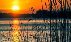 属鼠女和什么生肖最配 属鼠的忌讳和什么生肖搭配