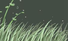 讲述关于十二生肖故事的传说