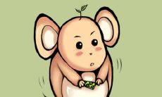 属鼠人12月的运势上会有哪些方面比较突出