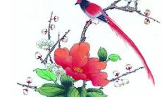 2023兔年全年嫁娶吉日表查询 适合办婚礼的日子