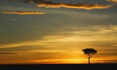 舒岳林姓名评分91分