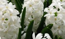 汤黛琳姓名评分71分