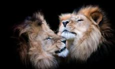 房丽园姓名评分79分