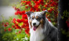 高钰波姓名评分91分