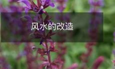 风水的改造