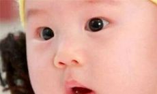 2023年兔宝宝取名大全简单 洋气的2023兔宝宝名字