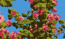 2023年1月16日开工好吗 此日动工如何