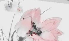 2023年1月8日开工动工好不好 此日日子解析