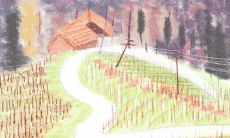 根据装修风格测你心理阴影面积