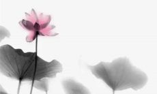 2023年4月生孩子最吉利的日子 2023年4月哪天适合生孩子