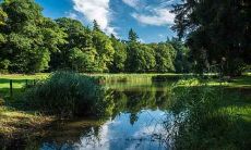 1998年11月属虎人婚姻一生婚姻顺不顺利