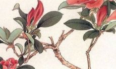 黄历查询：2022虎年5月份属相龙新店开张开业吉日吉时