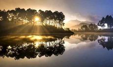 属虎男人喜欢什么样的结婚对象 想娶哪种女人