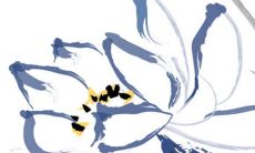 生肖属蛇2022虎年公历5月新店开张吉日 开张营业佳期