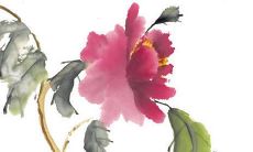 老黄历查询：2022虎年公历4月生肖属鸡几号开张最好最吉利