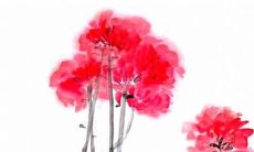 黄道吉日：2022壬寅年4月生肖猪上等开张吉日一览