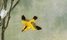 属相牛2022年公历5月上等开张吉日查询 新店营业大吉日子