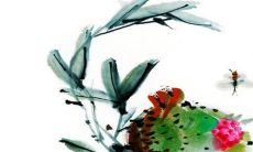 正月初四属兔的人命运如何 大年初四出生的兔宝宝运势