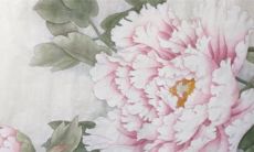 2023年2月7日出生的属兔男孩命好吗 家业昌盛万事顺遂