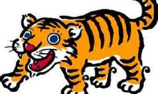 62年出生的生肖属虎，2021年的运势怎么样