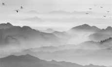 2023年2月12日出生的属兔女孩命运怎么样 热爱浪漫幽默大方