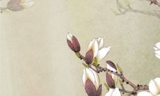 2022虎年8月中生肖属鸡最好的订婚提亲吉日 黄道吉日查询