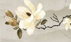 2023年属羊人的全年运势 事业有成多些陪伴