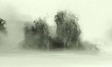 2023年红鸾星动的生肖男女 月老牵绳迅速脱单