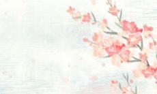 2023年财运最好的生肖 财神祝福金库充盈