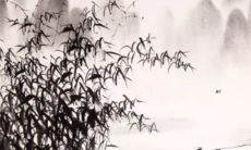 2023属猴学业运势 状态良好迎来顶峰