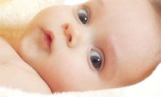 2023兔宝宝最火乳名男孩  兔年取名字男孩大全