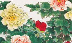 2022年在5月生肖属鸡店铺开张吉利日期 新店开张吉祥日子